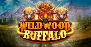 Wildwood Buffalo Slot