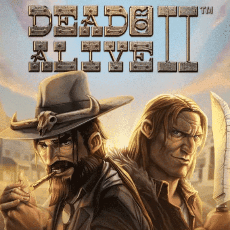 Dead or Alive 2 Slot Review