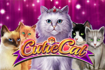 Cutie Cat Slot Review