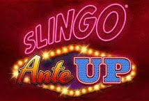 Slingo Ante Up Slot Review